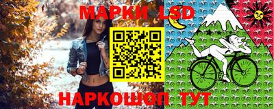 спайс Будённовск